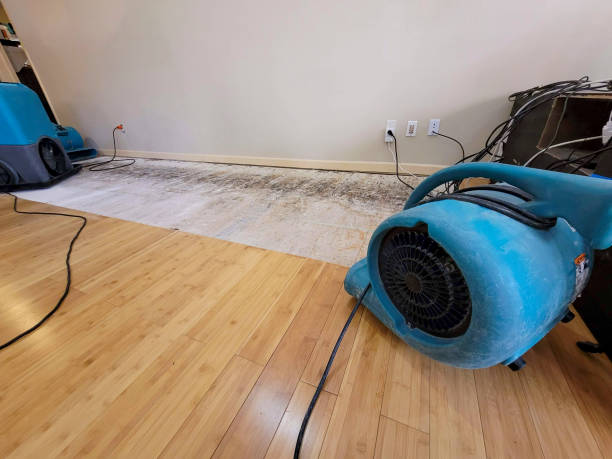 Professional Flood Damage Cleanup technician working in Maspeth, NY
